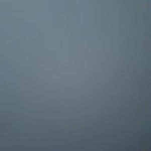 Meet your Posher, Elly